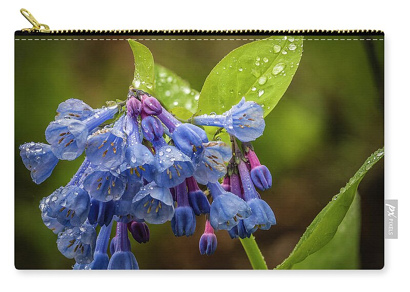 Victor Zip Pouch featuring the photograph Rain Drop Bells by Joann Long