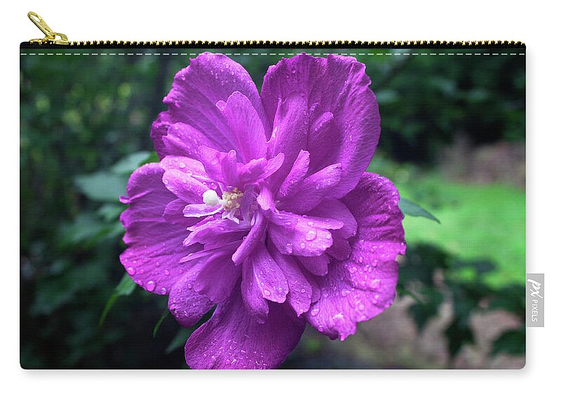 Flower Zip Pouch featuring the photograph Rain Drop Covered Blossom by Jeff Severson