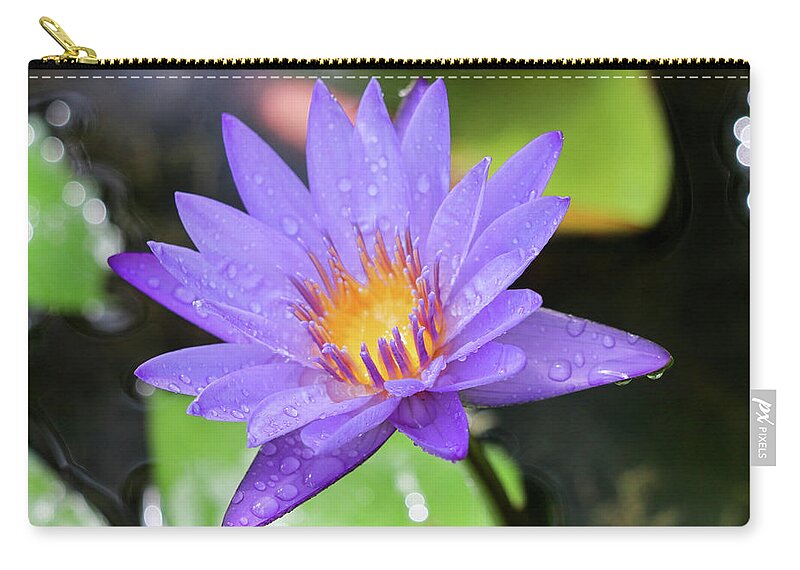 Water Lily Zip Pouch featuring the photograph Rain-dropped Waterlily by Mary Anne Delgado