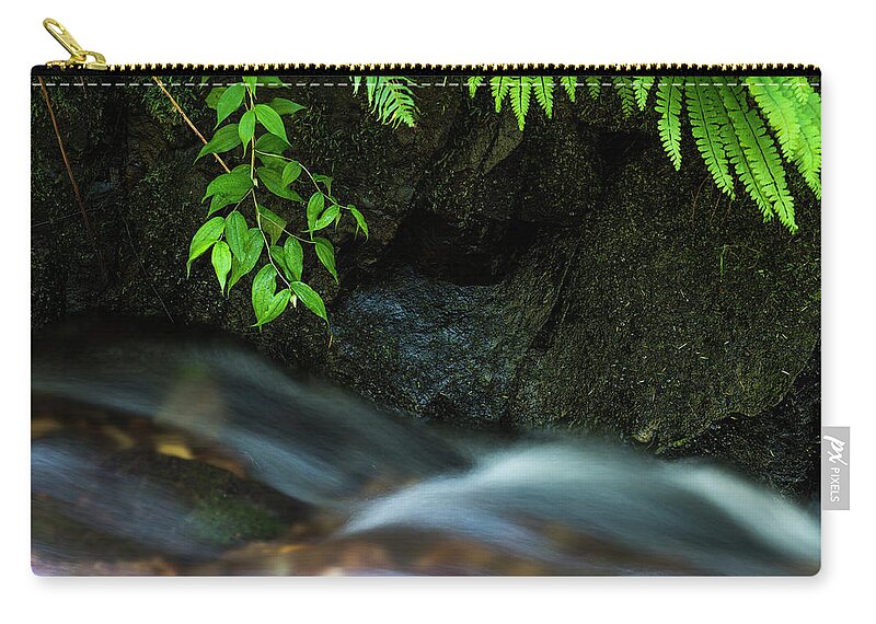Cannon Beach Zip Pouch featuring the photograph Rain Forest Stream by Robert Potts