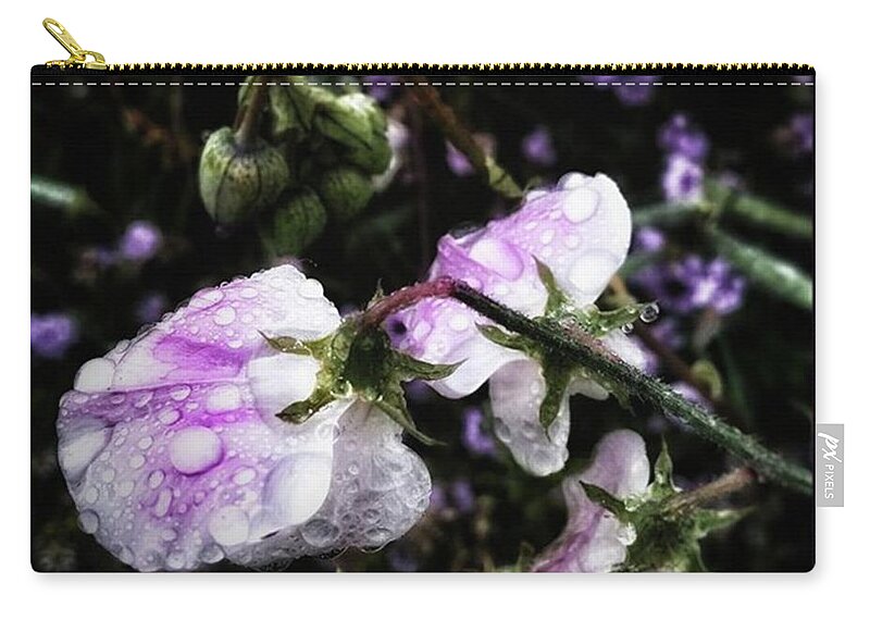 Flowers Zip Pouch featuring the photograph Rain Kissed Petals. This Flower Art by Mr Photojimsf