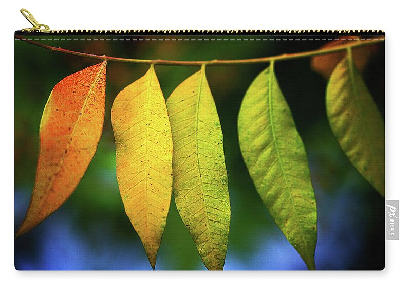 Rainbow Zip Pouch featuring the digital art Rainbow Leaves by Terry Davis