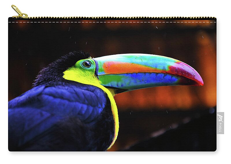Toucan Photographs Zip Pouch featuring the photograph Rainbow Toucan by Harry Spitz