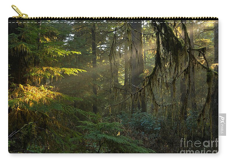 Pacific Rim National Park Zip Pouch featuring the photograph Rainforest Spotlight by Adam Jewell