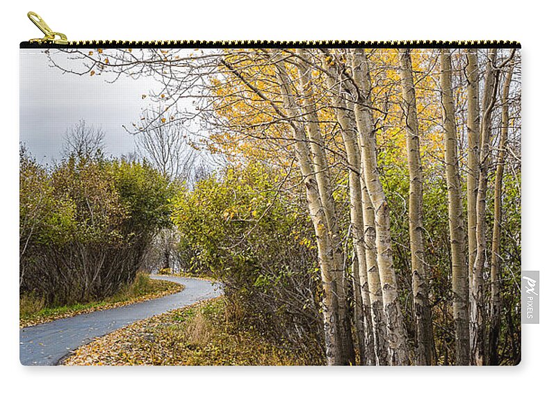 Autumn Zip Pouch featuring the photograph Rainy Autumn Walk by Tim Newton