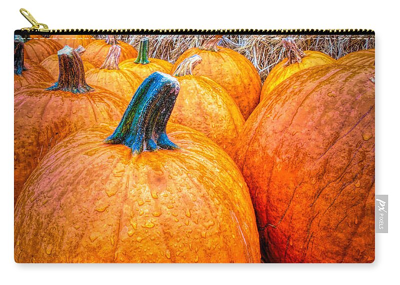 Pumpkins Zip Pouch featuring the photograph Rainy Day At The Pumpkin Patch by Susan Lafleur