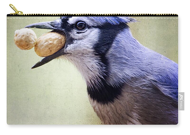 Birds Zip Pouch featuring the photograph Rainy Day Blue Jay by Al Mueller