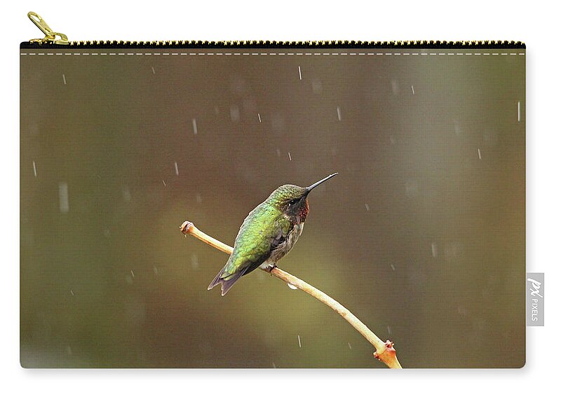 Hummingbirds Zip Pouch featuring the photograph Rainy Day Hummingbird by Debbie Oppermann