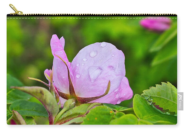 Rose Zip Pouch featuring the photograph Rainy Day Rose by Cathy Mahnke