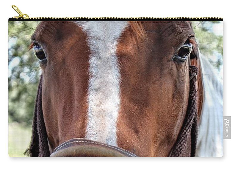 Animal Zip Pouch featuring the photograph Ranch Horse by Ella Kaye Dickey