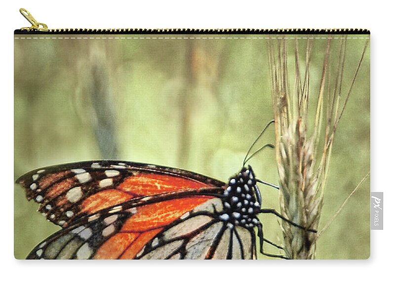 Butterfly Zip Pouch featuring the photograph Ravaged Yet Resilient by Peg Runyan