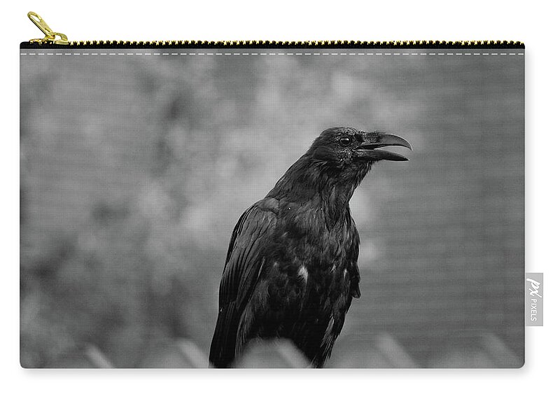Bird Zip Pouch featuring the photograph Raven by Trent Mallett