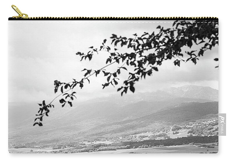 Leicagram Zip Pouch featuring the photograph Reach by Aleck Cartwright