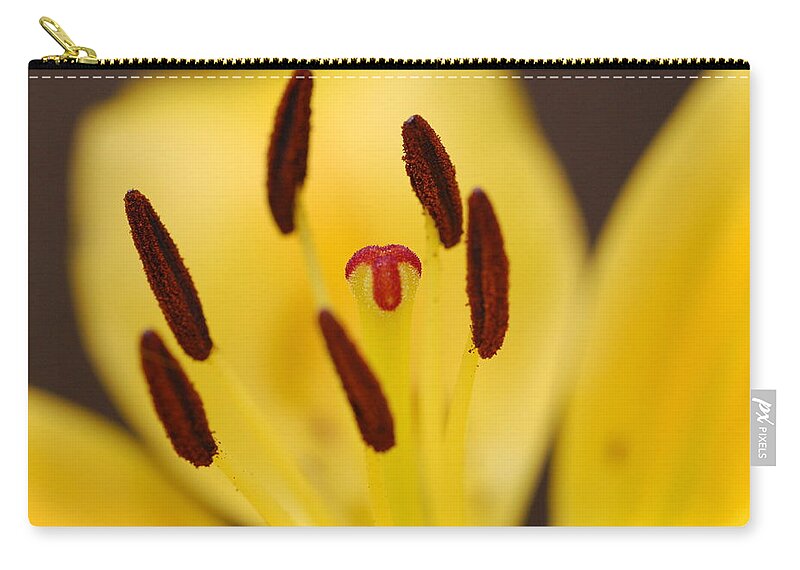 Flower Zip Pouch featuring the photograph Reaching by Amy Fose