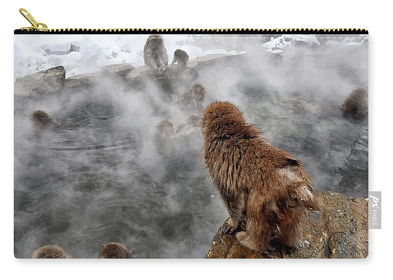 Snow Monkey Zip Pouch featuring the photograph Ready for the plunge by Kuni Photography