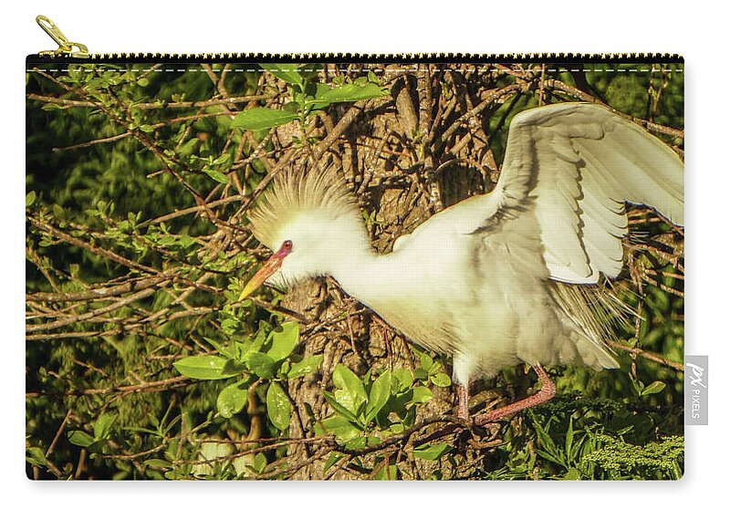 Florida Zip Pouch featuring the photograph Ready to fly by Jane Luxton
