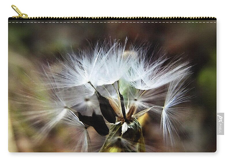 Puff Ball Zip Pouch featuring the mixed media Ready to Fly... Salsify Seeds by Shelli Fitzpatrick