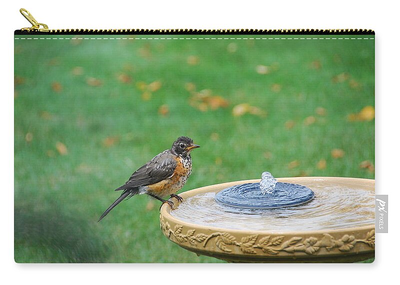 Robin Zip Pouch featuring the photograph Ready to Jump In by Wanda Jesfield
