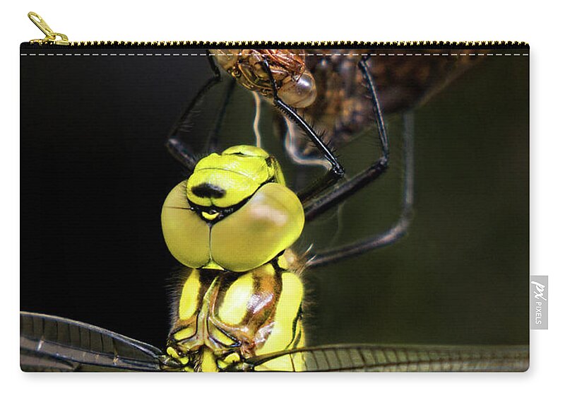 Dragonfly Zip Pouch featuring the photograph Rebirth I by Weston Westmoreland