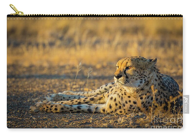 Africa Zip Pouch featuring the photograph Reclining Cheetah by Inge Johnsson