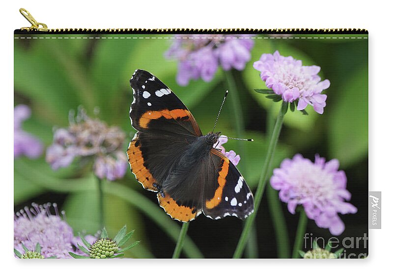 Red Admiral Butterfly Zip Pouch featuring the photograph Red Admiral Butterfly and Pincushion Flower by Robert E Alter Reflections of Infinity