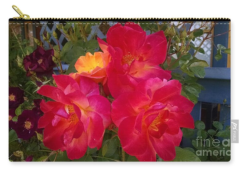 Botanical Zip Pouch featuring the photograph Red and orange rose by Steven Wills