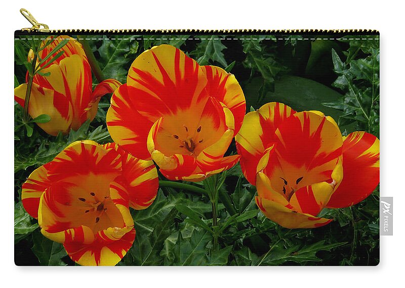 Flower Zip Pouch featuring the photograph Red and Yellow Flower by John Topman
