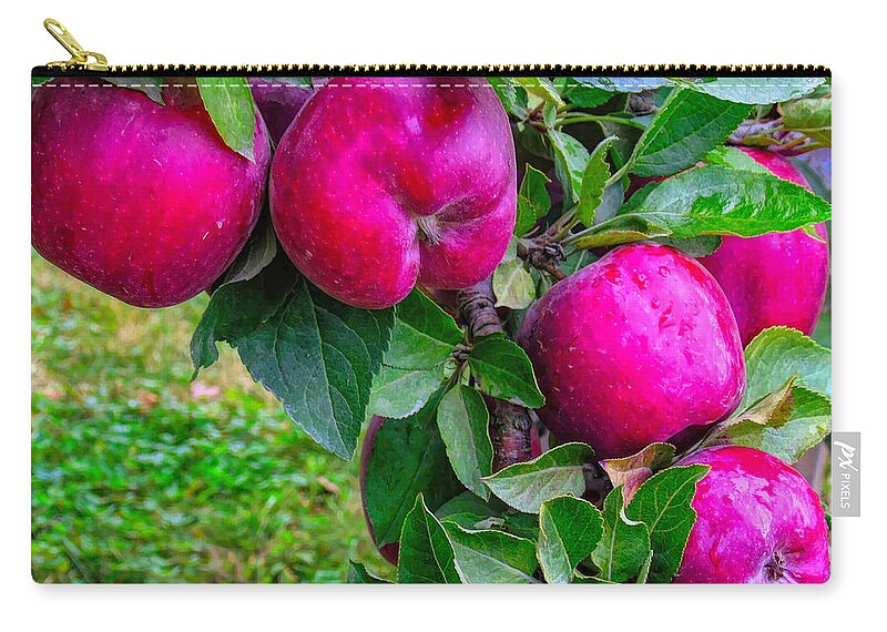 Apple Zip Pouch featuring the photograph Red Apples by Susan Lafleur