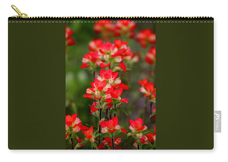 James Smullins Zip Pouch featuring the photograph Red beauties by James Smullins