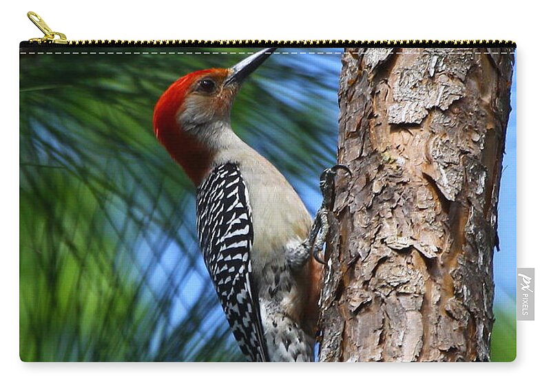 Red-bellied Woodpecker Zip Pouch featuring the photograph Red-bellied Woodpecker by Barbara Bowen