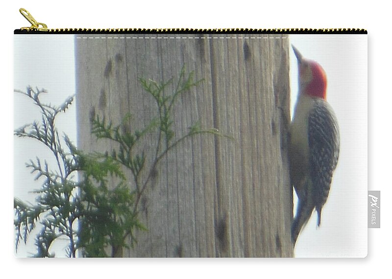 Red Bellied Zip Pouch featuring the photograph Red Bellied Woodpecker by Rockin Docks Deluxephotos