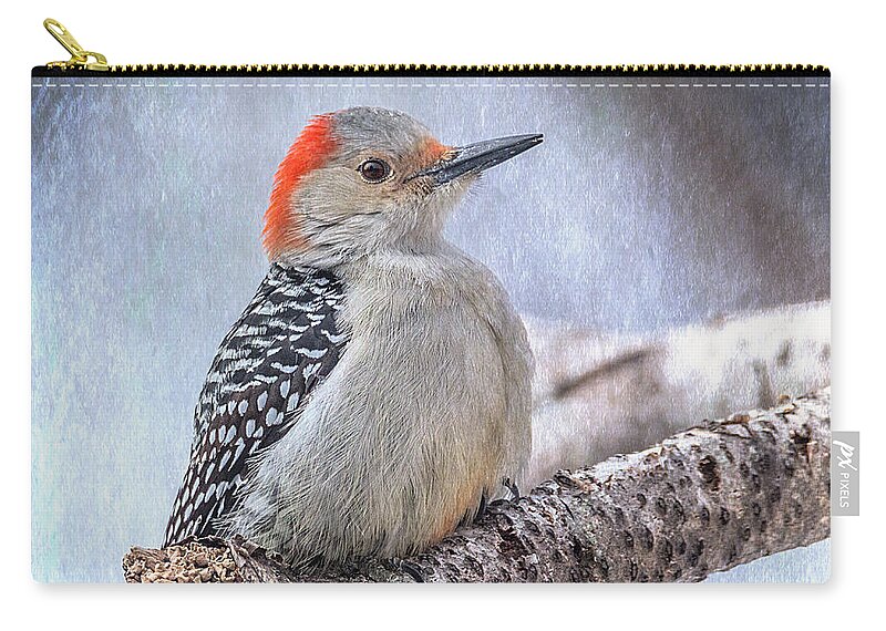 Woodpecker Zip Pouch featuring the photograph Red-bellied Woodpecker by Patti Deters