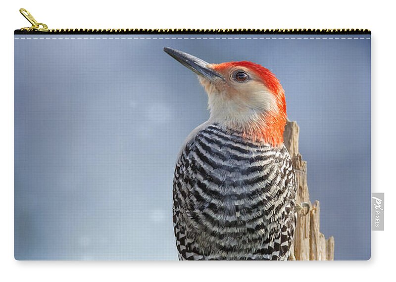 Red-bellied Woodpecker Zip Pouch featuring the photograph Red-Belly Back Profile by Bill and Linda Tiepelman