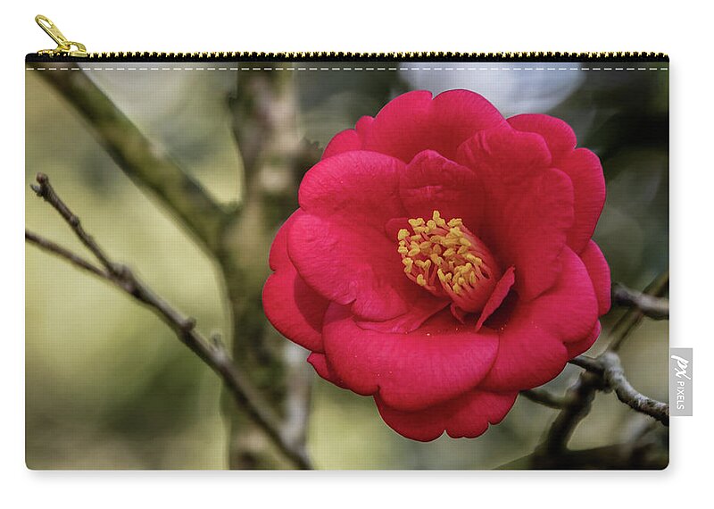 Ul Zip Pouch featuring the photograph Red Camelia 05 by Gregory Daley MPSA