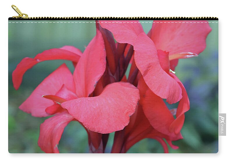 Canna Lily Zip Pouch featuring the photograph Red Canna Lily Floral by Aimee L Maher ALM GALLERY