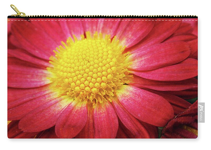 Flowers Zip Pouch featuring the photograph Red Chrysanthemum by Christina Rollo