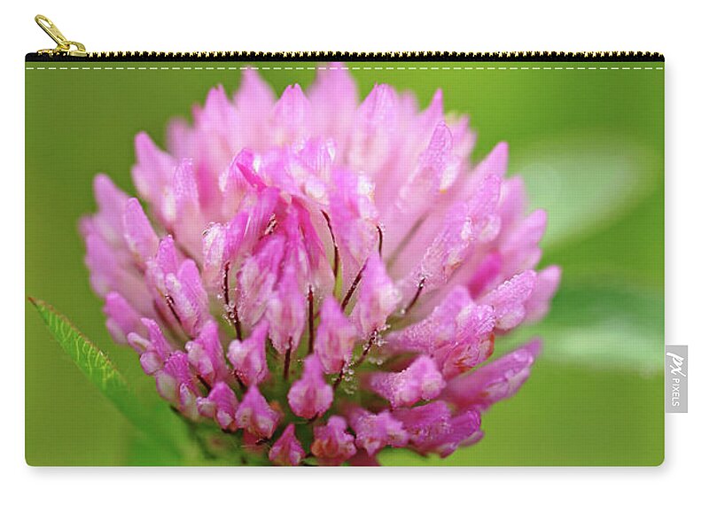 Red Clover Zip Pouch featuring the photograph Red Clover by Debbie Oppermann