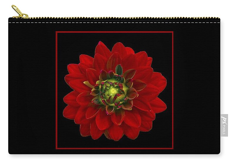 Dahlia Zip Pouch featuring the photograph Red Dahlia by Michael Peychich