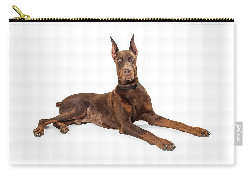 Animal Zip Pouch featuring the photograph Red Doberman Pinscher Dog Lying Profile by Good Focused