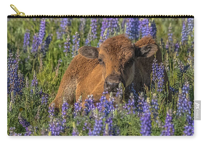 Lupine Zip Pouch featuring the photograph Red Dog In Bed Of Lupine by Yeates Photography