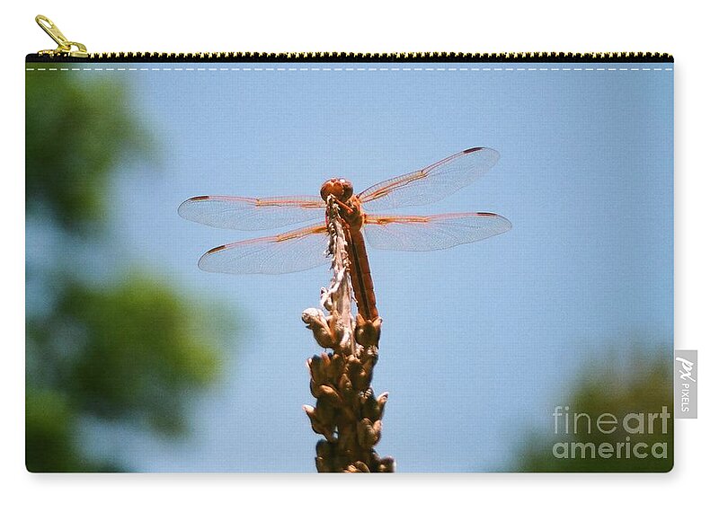 Dragonfly Zip Pouch featuring the photograph Red Dragonfly by Dean Triolo