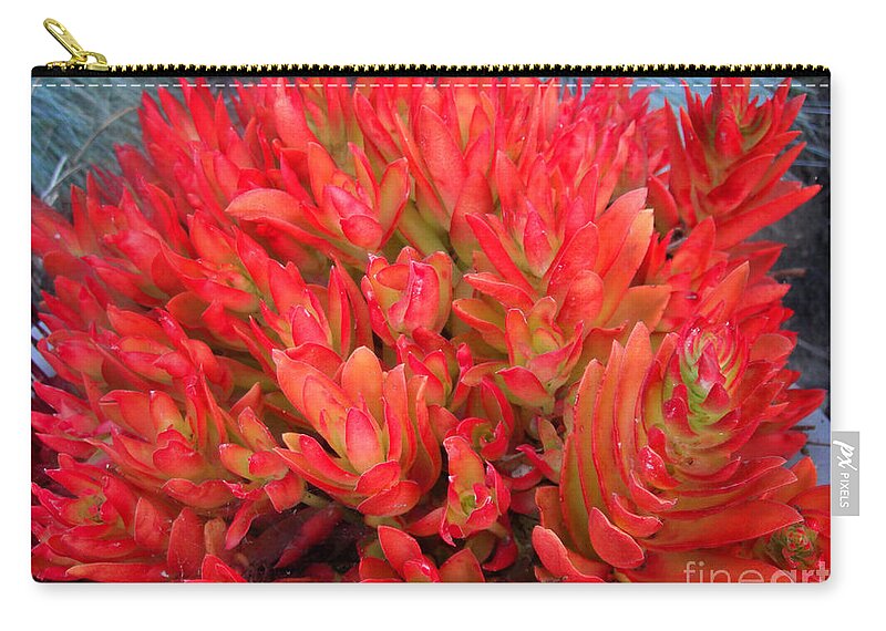 Big cactus with red flowers Bath Towel by Sofia Goldberg - Pixels