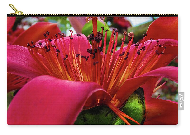 Flower Zip Pouch featuring the photograph Red Flower by Cesar Vieira