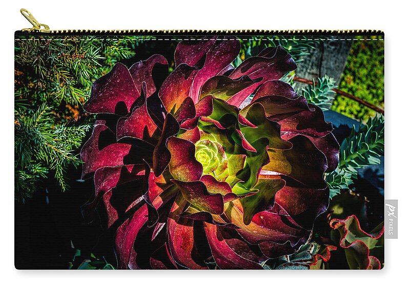 Red Flower Zip Pouch featuring the photograph Red flower by Lilia S