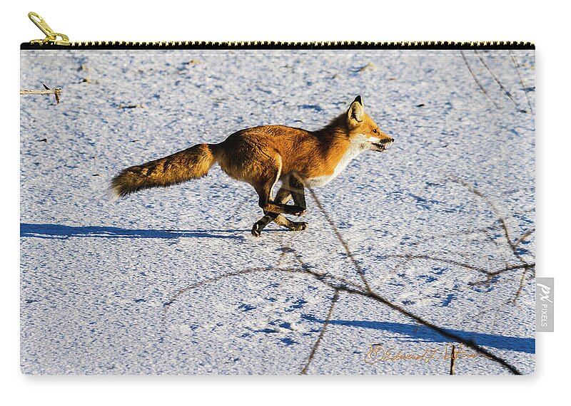 Fox Zip Pouch featuring the photograph Red Fox On The Run by Ed Peterson