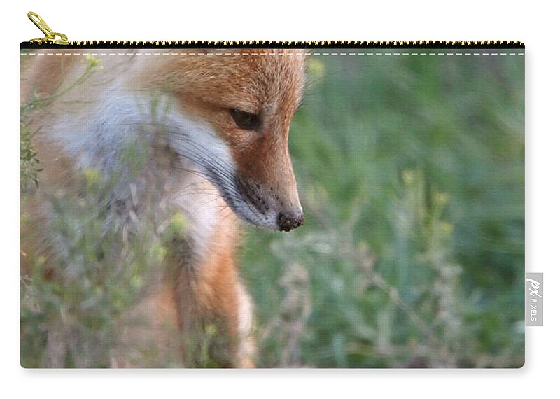 Red Fox Zip Pouch featuring the digital art Red Fox pup outside its den by Mark Duffy