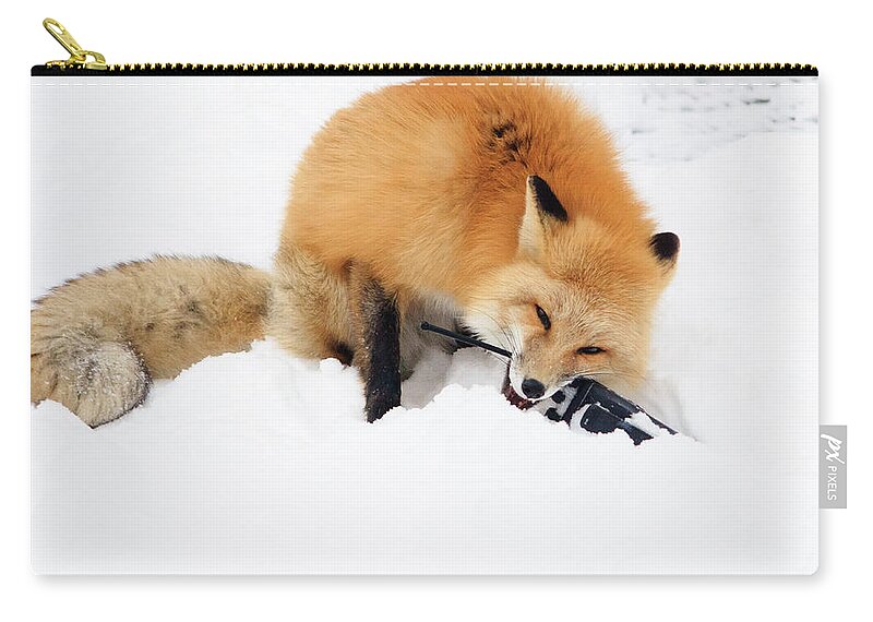 Animal Zip Pouch featuring the photograph Red Fox to Base by Joni Eskridge