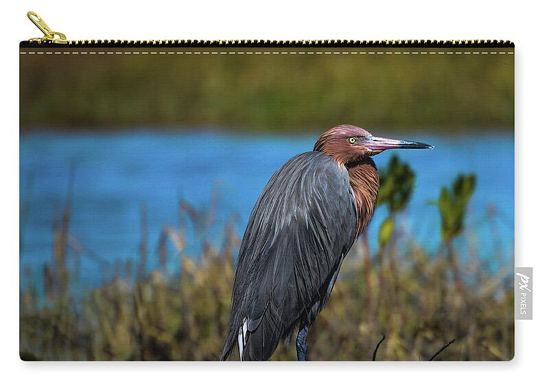 Red Heron Zip Pouch featuring the photograph Red Heron by Kelly Kennon