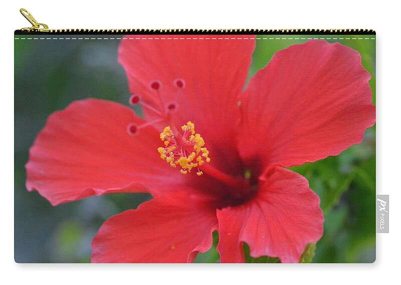 Flower Zip Pouch featuring the photograph Red Hibiscus 2 by Amy Fose