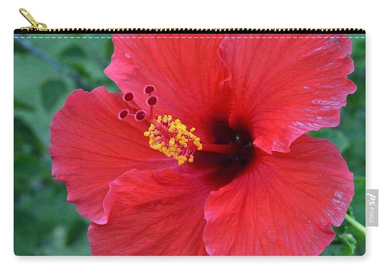 Flower Carry-all Pouch featuring the photograph Red Hibiscus 1 by Amy Fose